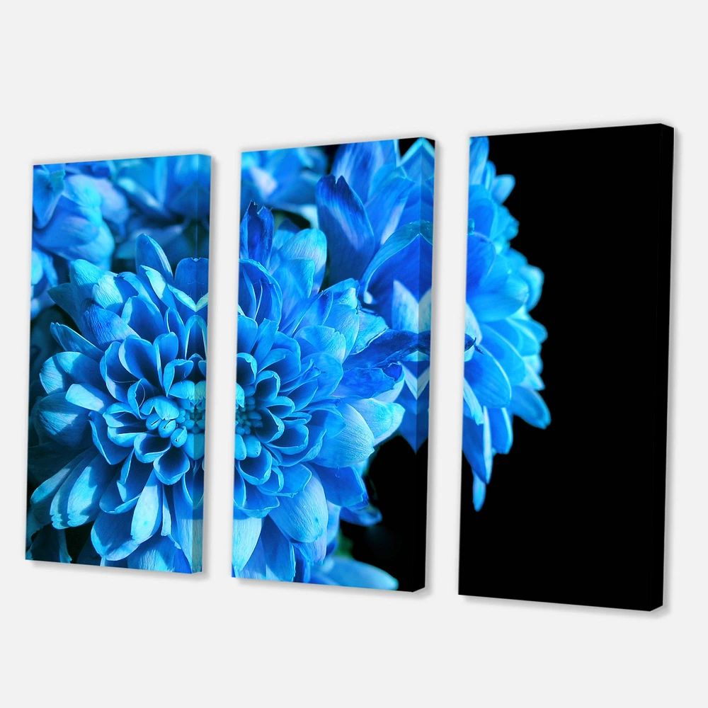 Detail of Blue Flowers on Black I  Canvas Wall Art