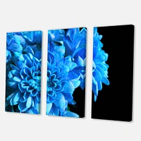 Detail of Blue Flowers on Black I  Canvas Wall Art