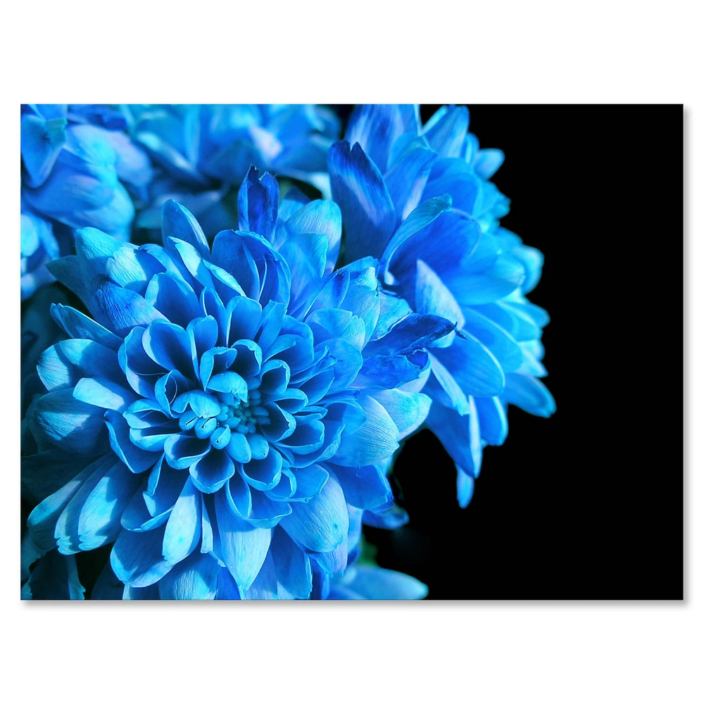 Detail of Blue Flowers on Black I  Wall Art