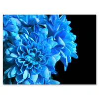 Detail of Blue Flowers on Black I  Wall Art