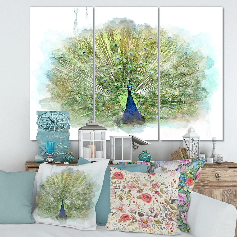 Peacock Bird Canvas Wall Art - 3 Panels