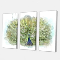 Peacock Bird Canvas Wall Art - 3 Panels