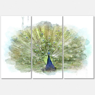 Peacock Bird Canvas Wall Art - 3 Panels