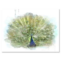 Peacock Bird  Wall Art