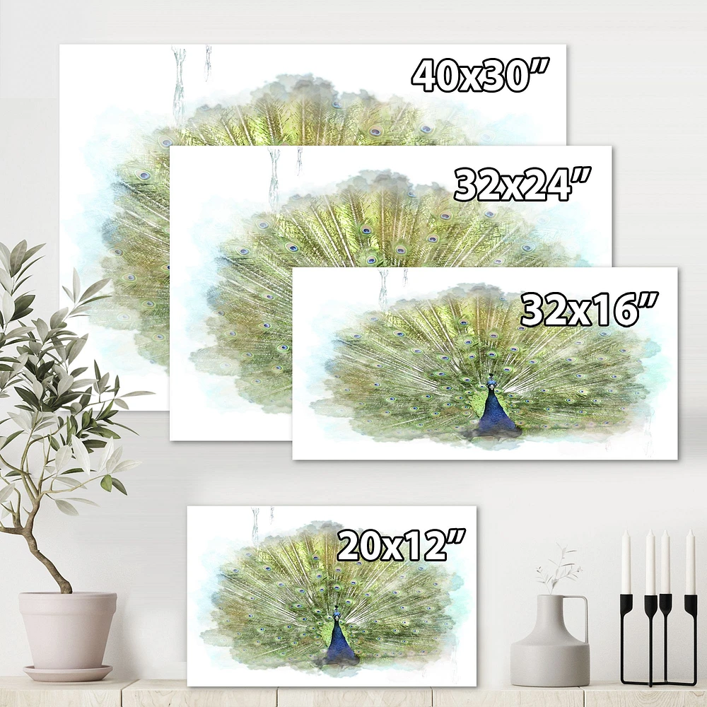 Peacock Bird  Wall Art