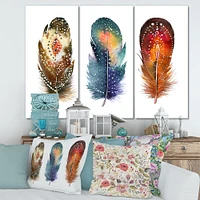 Colourful Boho Feather Set IX  Canvas Wall Art