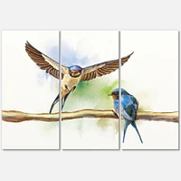 Two Barn Swallows Birds  Canvas Wall Art