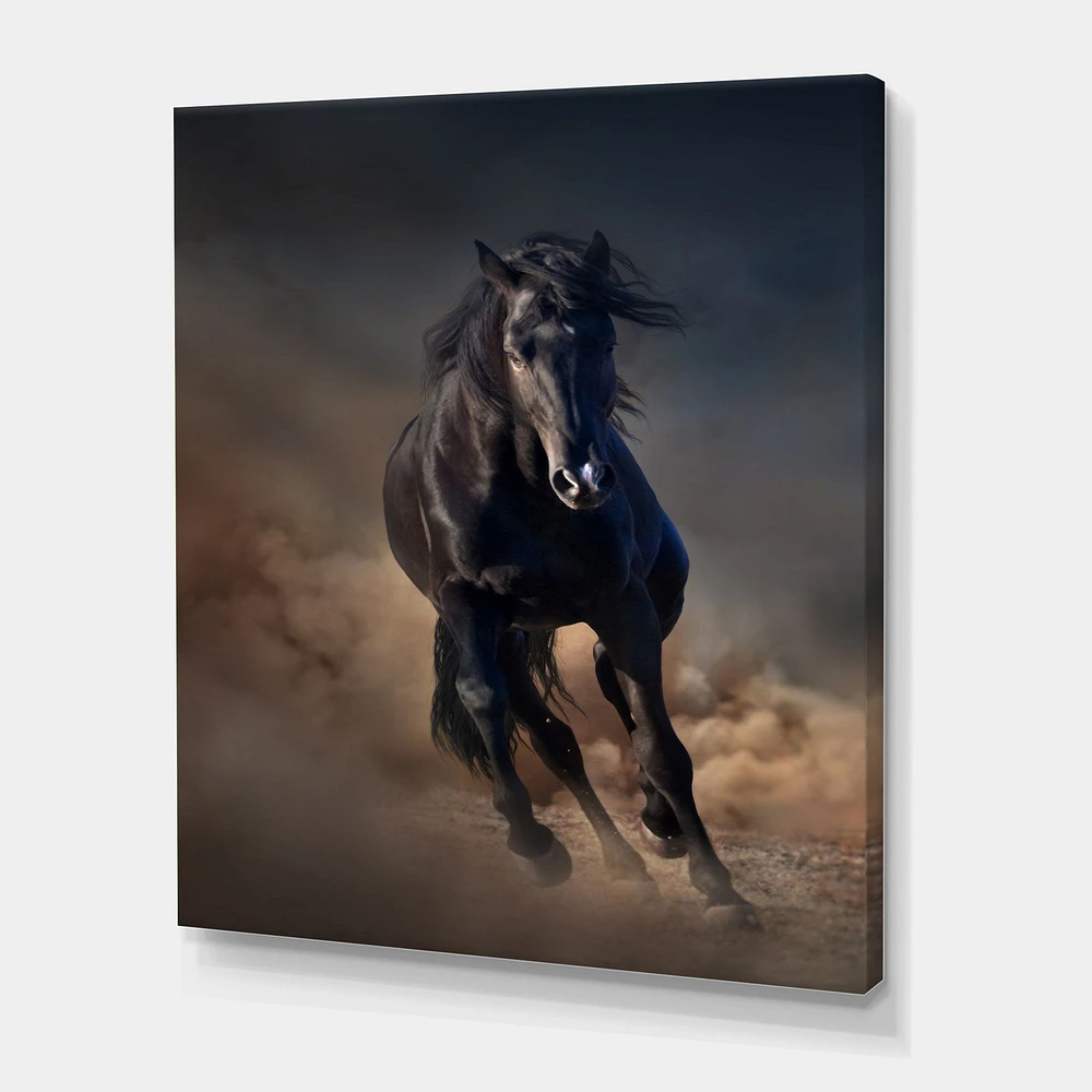 Toile « Portrait of Thoroughbred Nonius Stallion Horse I »