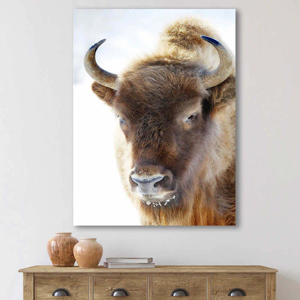 Portrait of Wild Bison Canvas Wall Art