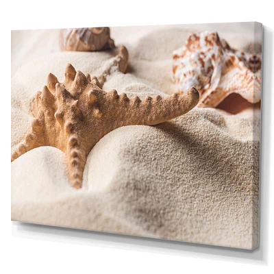 Toile imprimée « Close Up of Starfish and Seashell on Light Sand