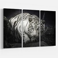 White Tiger Wall Art