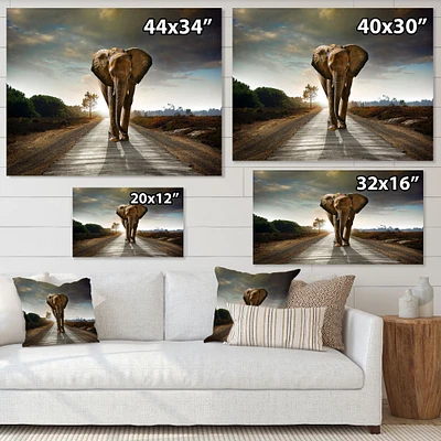 Single Walking Elephant  Canvas Art Print