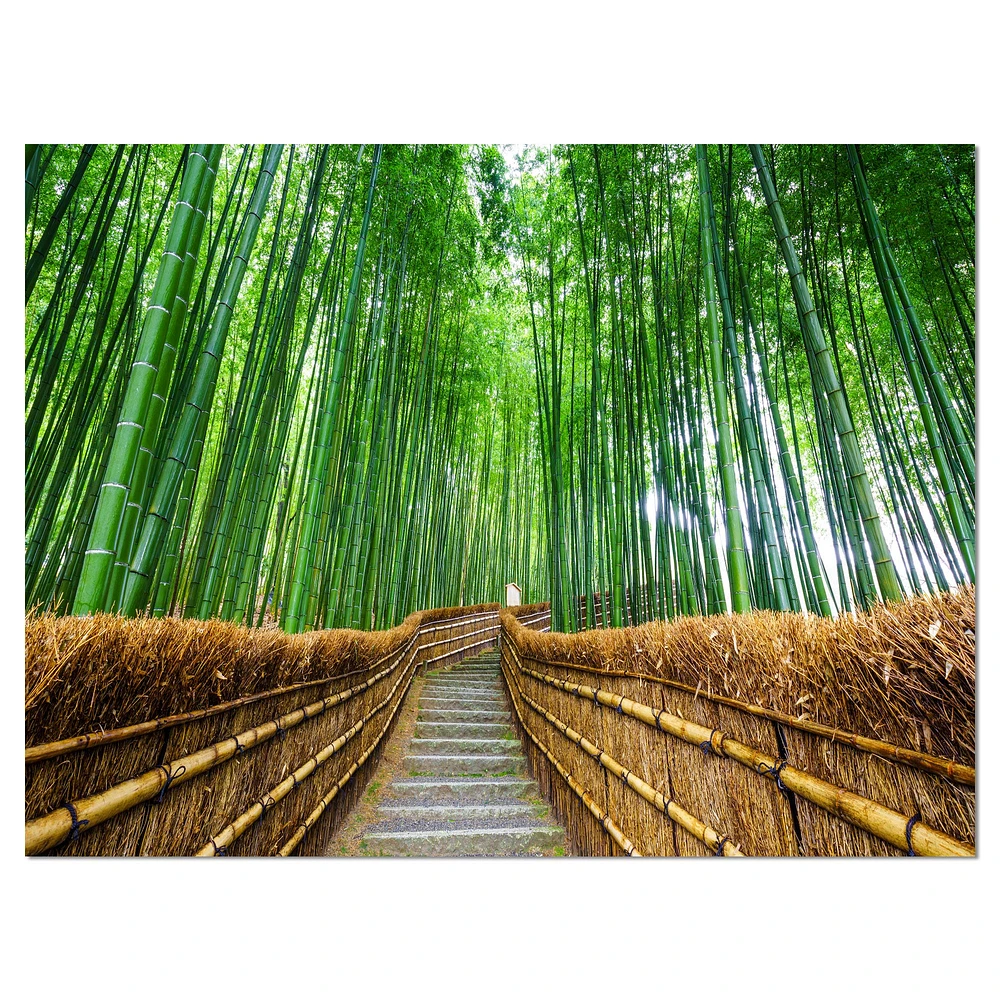 Path to Bamboo Forest  Wall Art