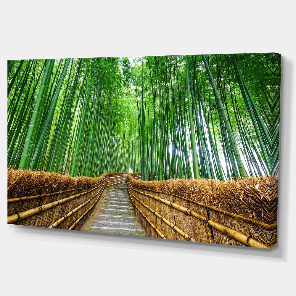 Path to Bamboo Forest  Wall Art