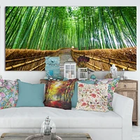 Path to Bamboo Forest  Wall Art