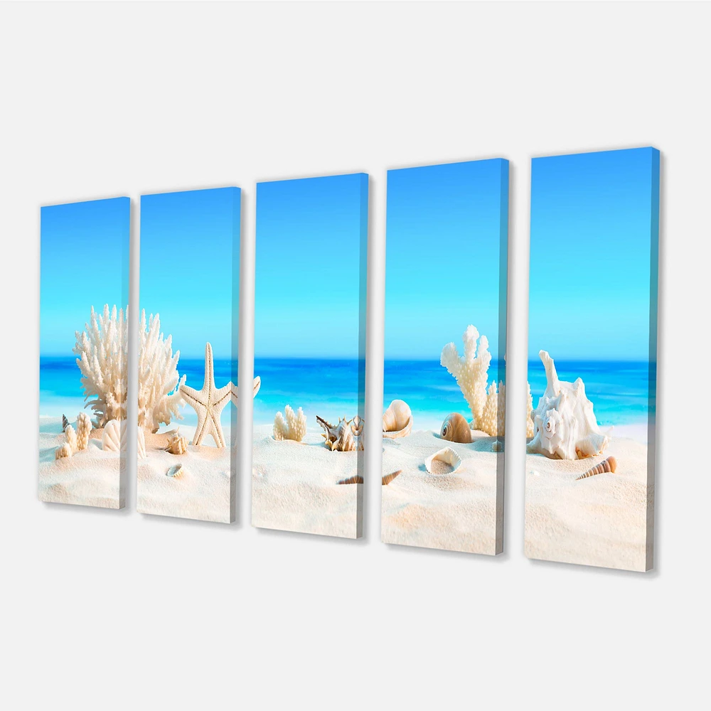 Seashells on Tropical  Canvas Wall Art