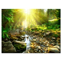 Mountain Stream Forest  Wall Art