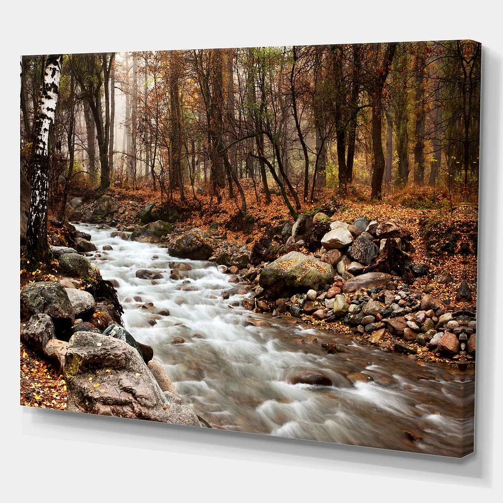 Stream Autumn Forest  Canvas Print