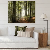 Toile imprimée « Green Fall Forest with Sun Rays »