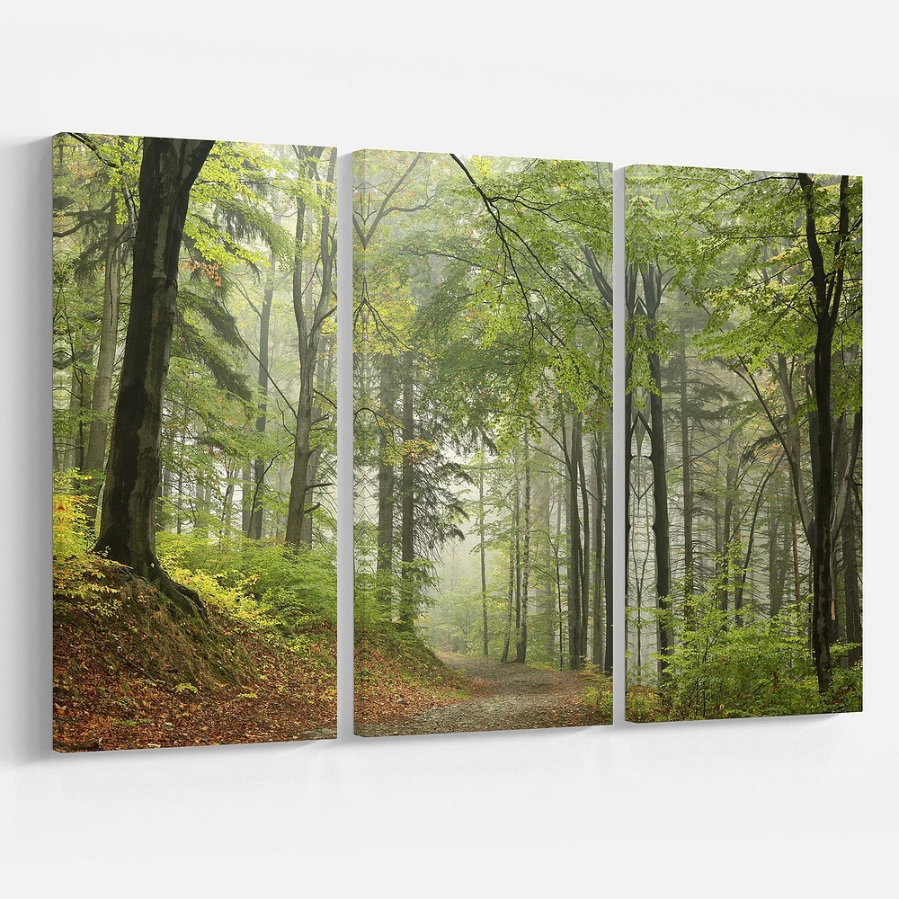 Green Beach Forest Pathway Canvas Wall Art - 3 Panels