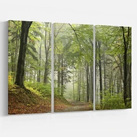 Toile « Green Beach Forest Pathway