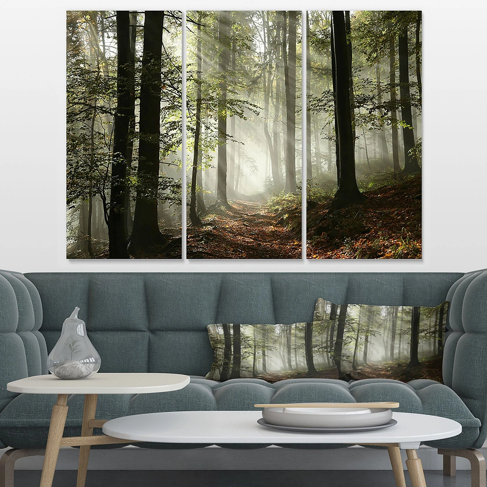 Light in Dense Fall Forest with Fog -3 Canvas Art Print