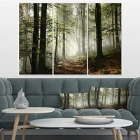 Light in Dense Fall Forest with Fog -3 Canvas Art Print