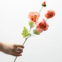 Poppy Stem 6x5x25" - Peach