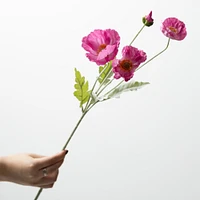 Poppy Stem 6x5x25 - Pink