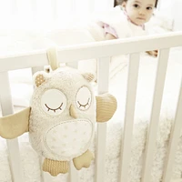 Nighty Night Owl™ Smart Sensor - Peluche Hibou avec capteurs intelligents