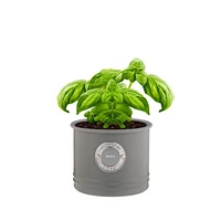 Customizable Herb Planter by Typhoon Living