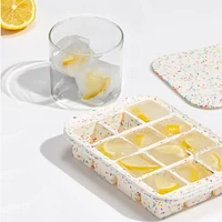 W&P Peak Everyday Ice Tray with Lid - 12 cubes