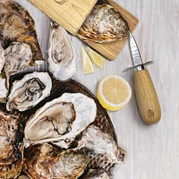 Oyster Shucking Set