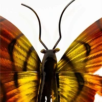 Wall Decor, Set of 2 - Butterflies