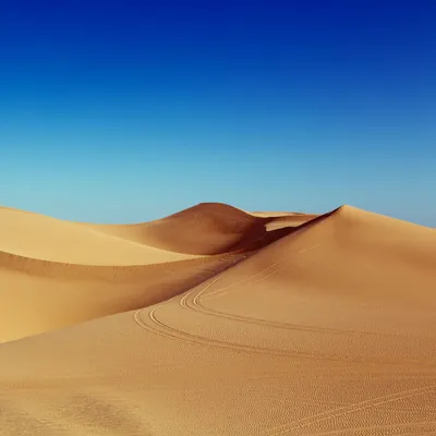 Desert under blue sky wallpaper mural