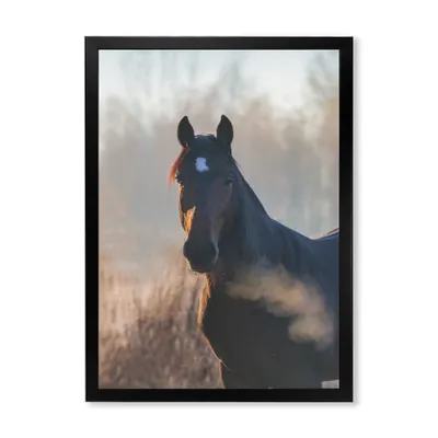 portrait of à horse on an autumn morning 