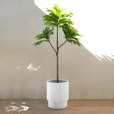 Monroe large white planter by haute deco