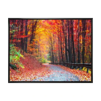 Road in beautiful autumn forest canvas art