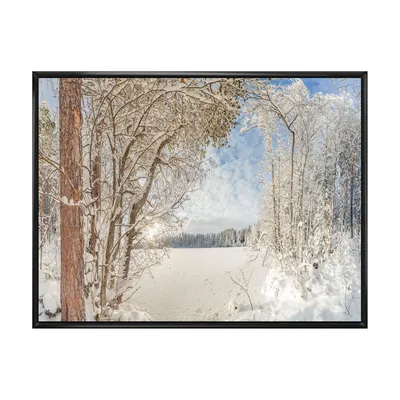 Lake in winter woods wall art