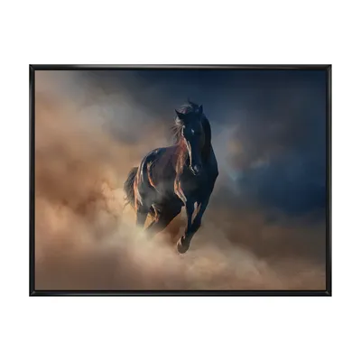Black stallion horse canvas - 40"" x 30"" - canvas only