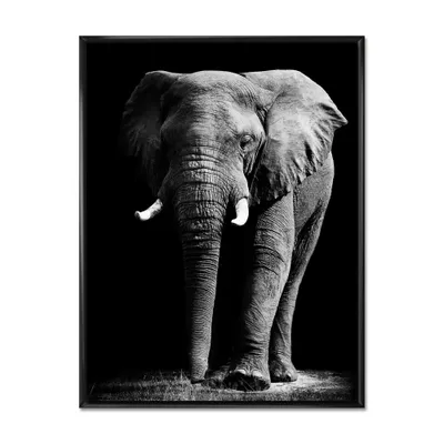 African elephant in black background wall art - 16"" x 32"" - canvas only