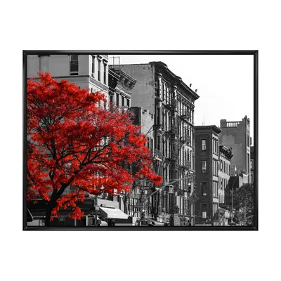 red tree on black and white new york city street - x