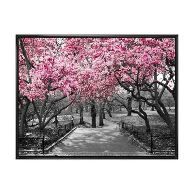 Cherry blossoms canvas wall art - 20"" x 12"" - black floating frame canvas