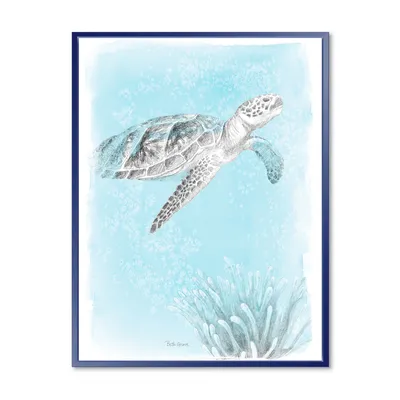 Coastal sea life i turtle sketches