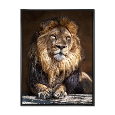 king lion with lighted face 