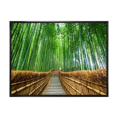 Path to bamboo forest wall art - 40"" x 20"" - canvas only