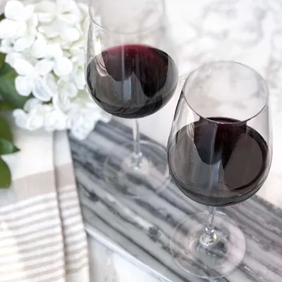 Schott zwiesel forte wine glass collection - claret burgundy glass