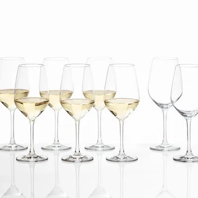 Forte set of 6 + 2 schott zwiesel free white wine glasses