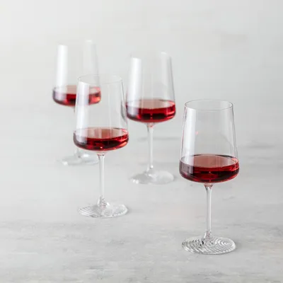Set of 4 echo all purpose wine glasses by fortessa