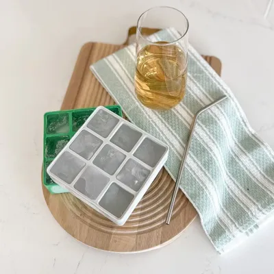Ricardo ice cube tray - set of 2